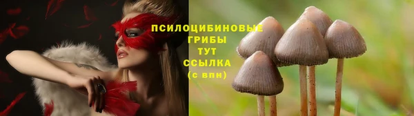 не бодяженный Баксан