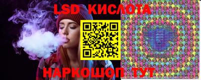 индика Заволжье