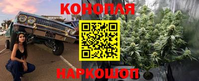 спиды Заводоуковск