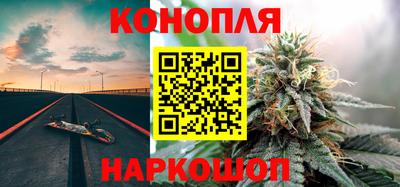 индика Заволжье