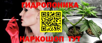 спиды Заводоуковск
