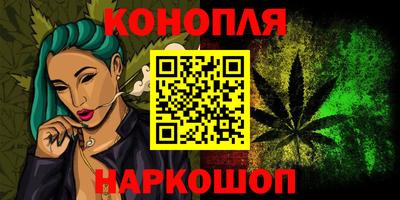 индика Заволжье