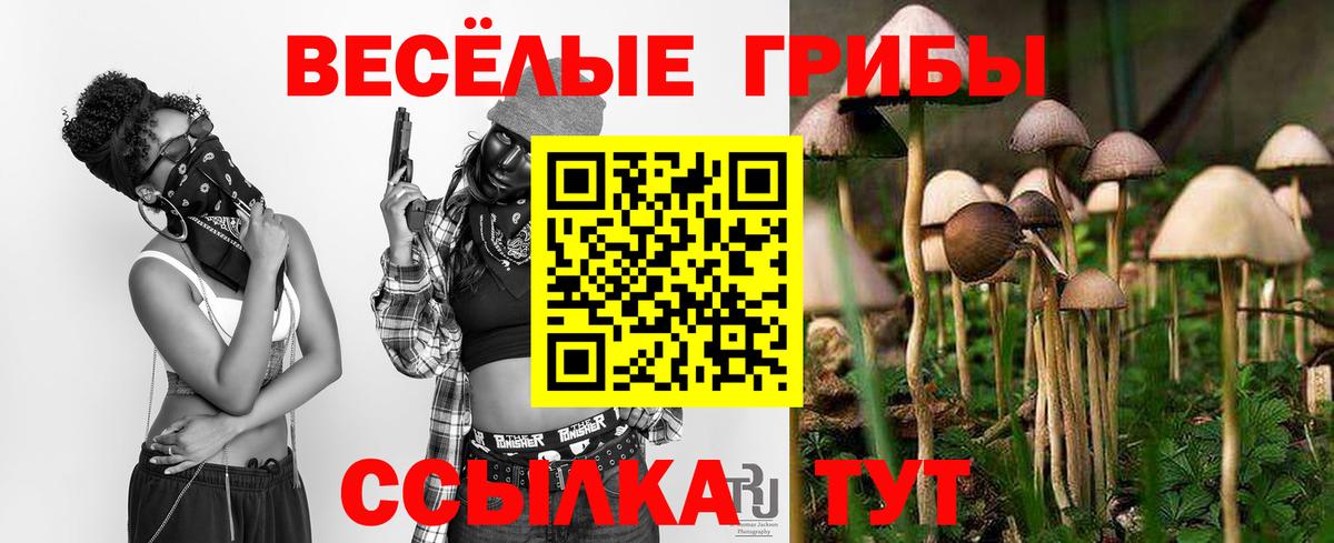 Псилоцибиновые грибы мухоморы Нерюнгри
