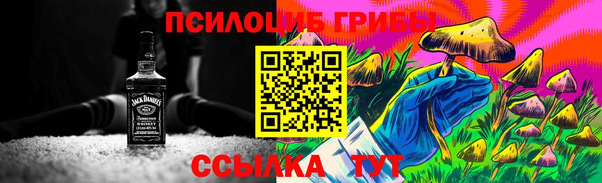 Нерюнгри  Псилоцибиновые грибы Cubensis  Вход с VPN 