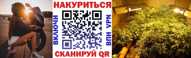 Канабис Amnesia  наркотики  Нерюнгри 